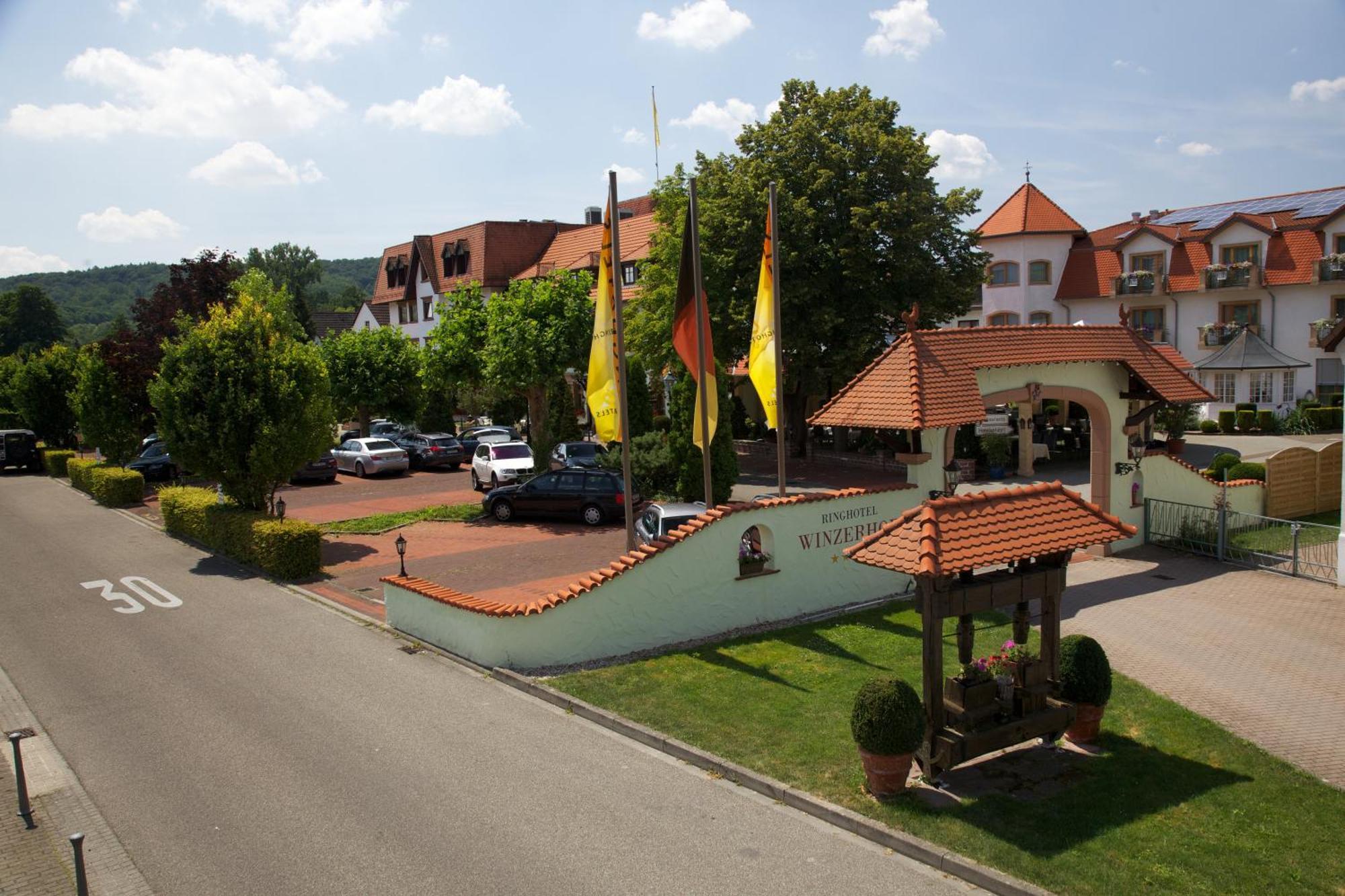 Ringhotel Winzerhof Rauenberg  Dış mekan fotoğraf
